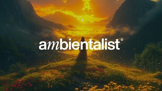 The Ambientalist  The Answer