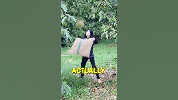 Professional Durian Catcher