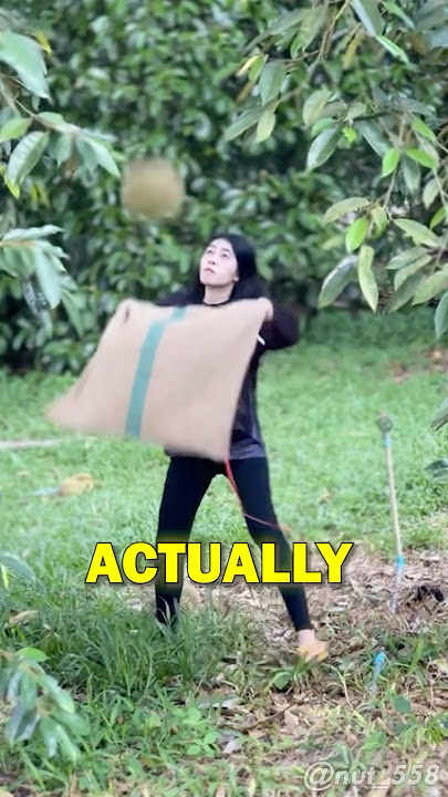 Professional Durian Catcher