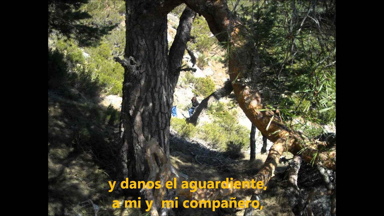 Jota del Valle. Cuevas del Valle. Ávila.