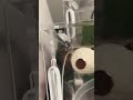 🥹♥️ #jumpingspider #pets #ytshorts #viral #cute #spider #shorts #animals