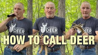 How to Call Deer, Including Grunt, Bleat, SnortWheeze and More
