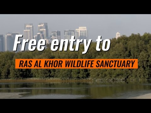 Free entry to Ras Al Khor wildlife sanctuary in dubai 🇦🇪