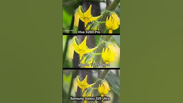 ViVO X200 Pro Vs Samsung Galaxy S25 Ultra vs iPhone 17 Pro Max Photography Test Nature macro test