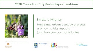 Small is Mighty: How small urban ecology projects are having big impacts and how you can contribute