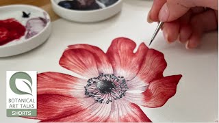 A MULTI-HYPHEN CAREER - Helen Cousins (Botanical Art Talk - extract)
