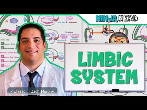 Neurologie | Anatomie a funkce limbického systému
