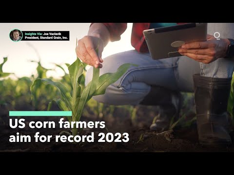 US Corn Farmers Expect a Record 2023