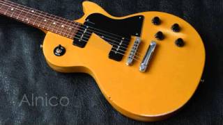 Alnico Ceramic Guitar Speaker Comparison  Radioshop Pickups