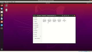 Setting up ElectrumX for SoftNote on Ubuntu Linux 20.04 - READ DESCRIPTION FOR FULL INSTRUCTIONS Profile