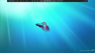 Testing Windows XP Media Center Edition 2005 Versus Windows 7 Build 6910