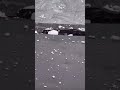 🇺🇸 A severe hailstorm knocked out power to over 10,000 residents in Springfield, Missouri