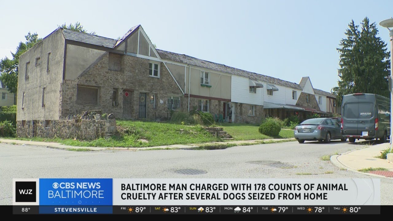 Baltimore man charged with 178 counts of animal cruelty - YouTube