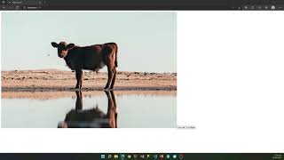 Angular Carousel Attempt