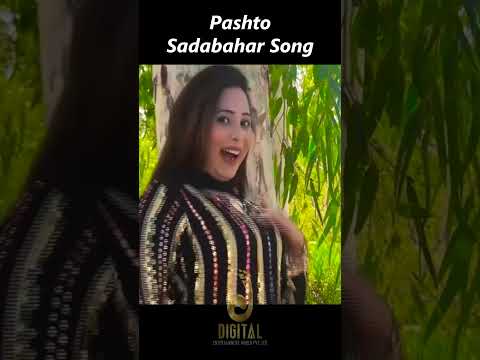 Wrake Tyare Shwe | Kishwar Sultan | Pashto Sdabahar Song