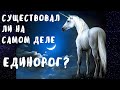 Существовал ли на самом деле единорог?