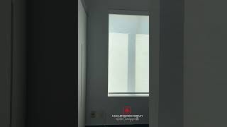 Semi-blackout blinds reduce glare and keep your office bright and comfortable. #OfficeBlinds