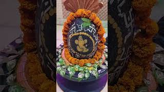 Ganpati Bappa morya #bappamorya #ynr #pandit_sandeep_sharma_ji ganpati bappa ke darshn subscribe kre