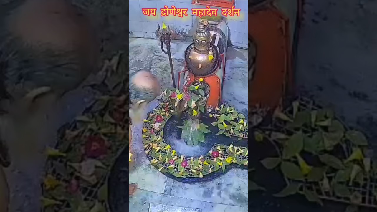 जय द्रोणेश्वर महादेव दर्शन #viralreels #shortsvideo #videovi