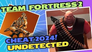 HONEST REVIEW OF TF2 CHEATS.