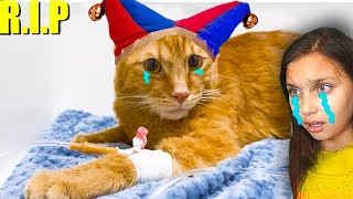 😥ПОМНИ КОТИК СИМБОЧКА Младший УМЕР 🐱😭 В РЕАЛЬНОЙ ЖИЗНИ digital circus цифровой цирк Симба Валеришка