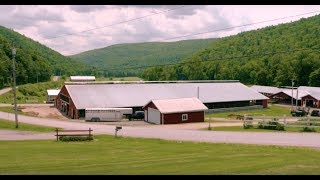 Sour Milk - Upstate NY struggling dairy farmers - 2018