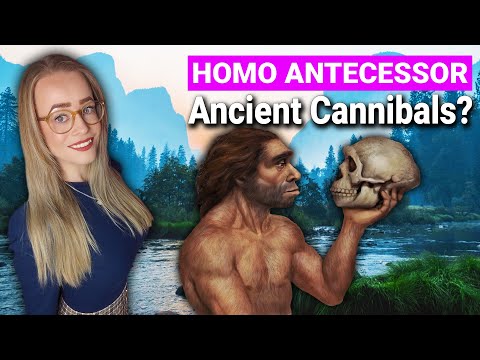 Homo Antecessor | First European Inhabitants