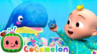 jjs baby blue whale lullaby cocomelon animal time animals for kids