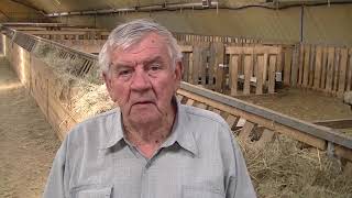 видео: Овцеводческое племенное хозяйство СТЕПЬ 0+ картинка: Овцеводческое племенное хозяйство СТЕПЬ 0+