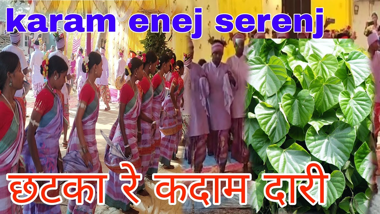 Chatka re kadam dari ।। Karam enej serenj santhali traditional।। #NAWA_MARSHAL 