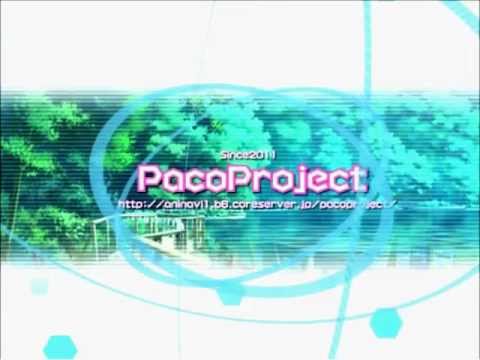 Paca Plus Opening