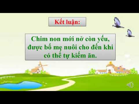 Khối 5 tuần 29 khoa học sự sinh sản của chim, thú