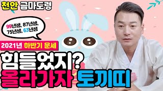 (토끼띠운세2021) 2021 하반기 운세 &quot;힘들었지? 올라가자 토끼띠!!&quot; [금마도령 0…