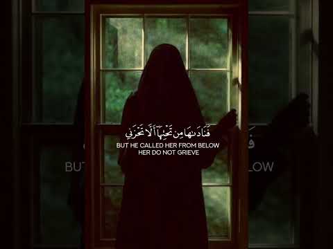 قالت ياليتني مت قبل هذا وكنت نسيا منسيا تلاوات اكسبلور حالات واتس Quran H2o تصميمي 