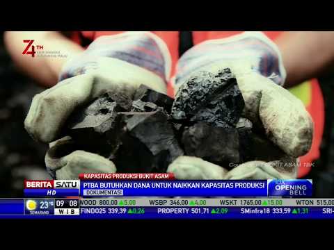 PT Bukit Asam Naikkan Kapasitas Produksi Jadi 50 Juta Ton pada 2024