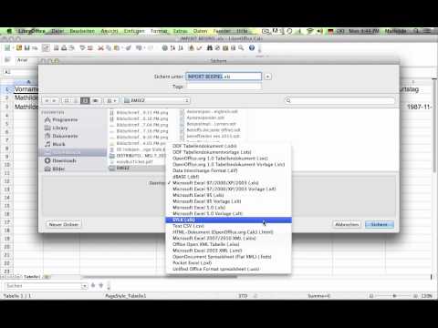 Video: Wie speichere ich eine Excel-Datei als CSV?