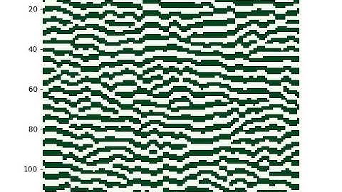 Cellular Automata model of Desert Tiger Bush (Torus)