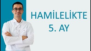 Hamilelikte 5. Ay - İstanbul Tüp Bebek Tedavisi - Op.Dr. Sertan AKSU Resimi