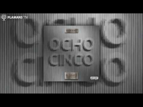 DJ SNAKE - Ocho Cinco (BARELY ALIVE Remix)