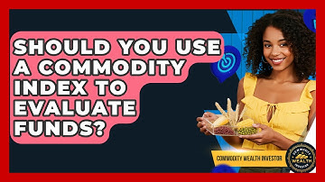 Should You Use A Commodity Index To Evaluate Funds? - Commodity Wealth Investor