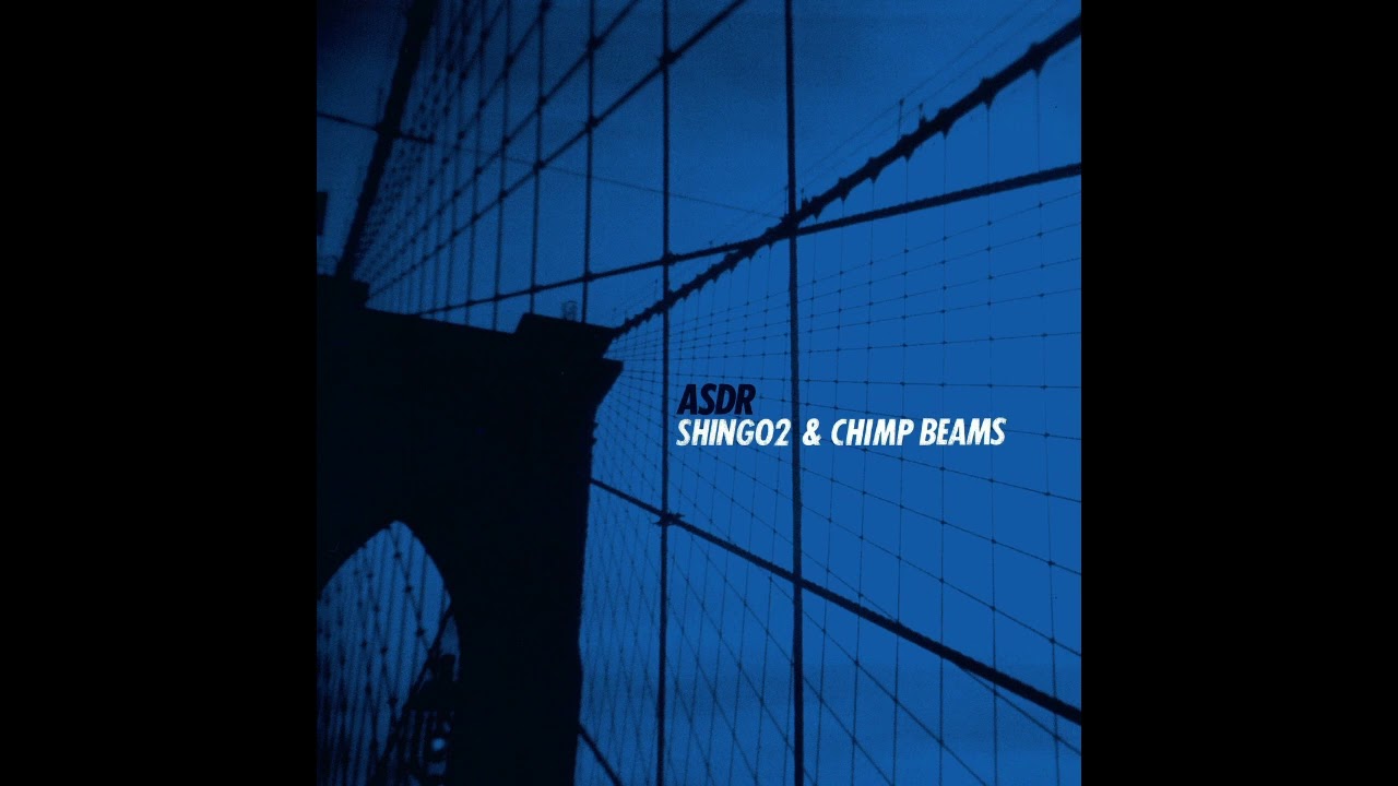 SHINGO2 & CHIMP BEAMS / ASDR 2枚組レコード SHINGO2 & CHIMP BEAMS / ASDR 2枚組レコード 【公式通販】