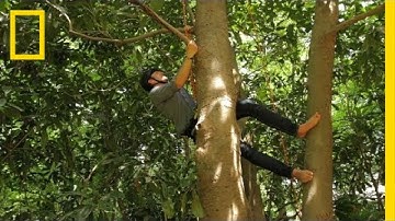 Fake Talk Show | Going Deep With David Rees: Deleted Scene