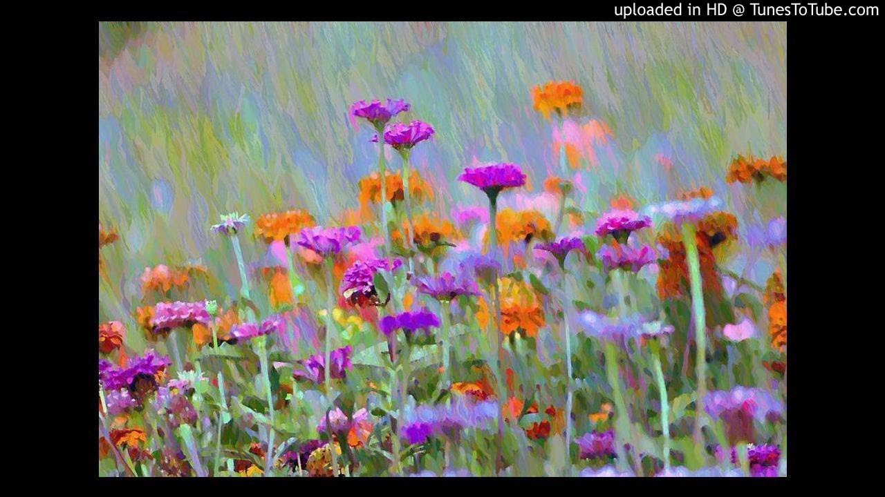 Where Have All The Flowers Gone Kingston Trio YouTube