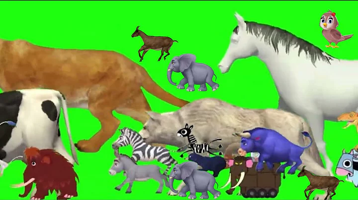 Cartoon animal stampede green screen video no copyright #stampede #animals #greenscreen