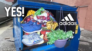 Dumpster Diving- New Shoes, Hanging Plants, Door Mats, Free Food +The Critter Cam