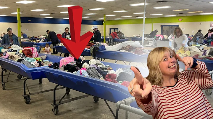 $100 Item Found at GOODWILL OUTLET BINS - Didn't KNOW it was WORTH THIS MUCH