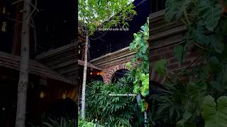 Aaromale Cafe☕️ Hyderabad #cafe #cafehopping #ytshorts #hyderabad #food #coffee #shorts #peace