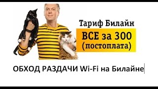 Как обойти раздачу Wi-Fi на Билайне и TELE 2 Как обойти раздачу Wi-Fi на Билайне и TELE 2