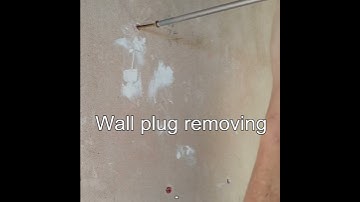 Wall Plug Remover