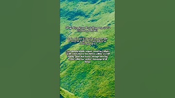 سوره مبارکه التغابن با - ترجمه #quran Surah At-Taghabun #قرآن